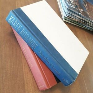 American Sisters: Paradise County by Karen Robards (2000, Hardcover)